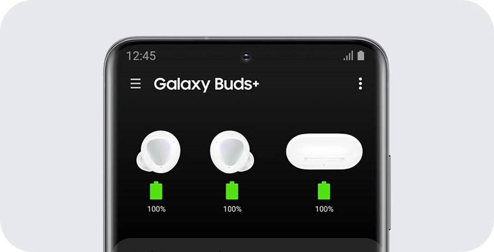 Galaxy Buds Pro Master Copy